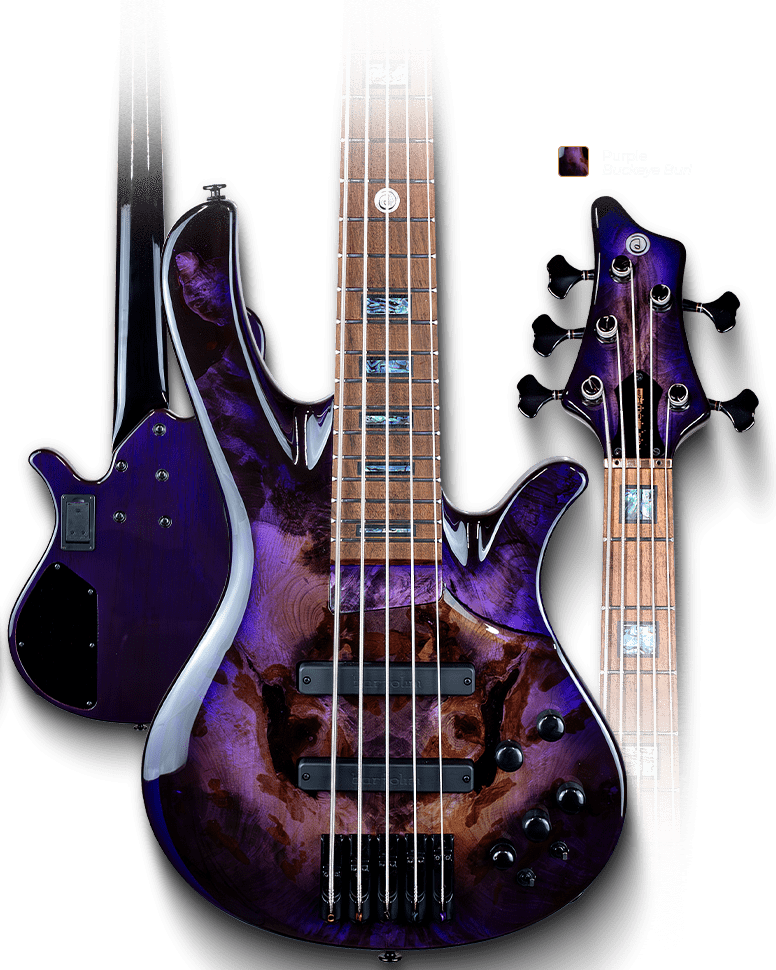 Rainbow KF_Purple - Buckeye Burl