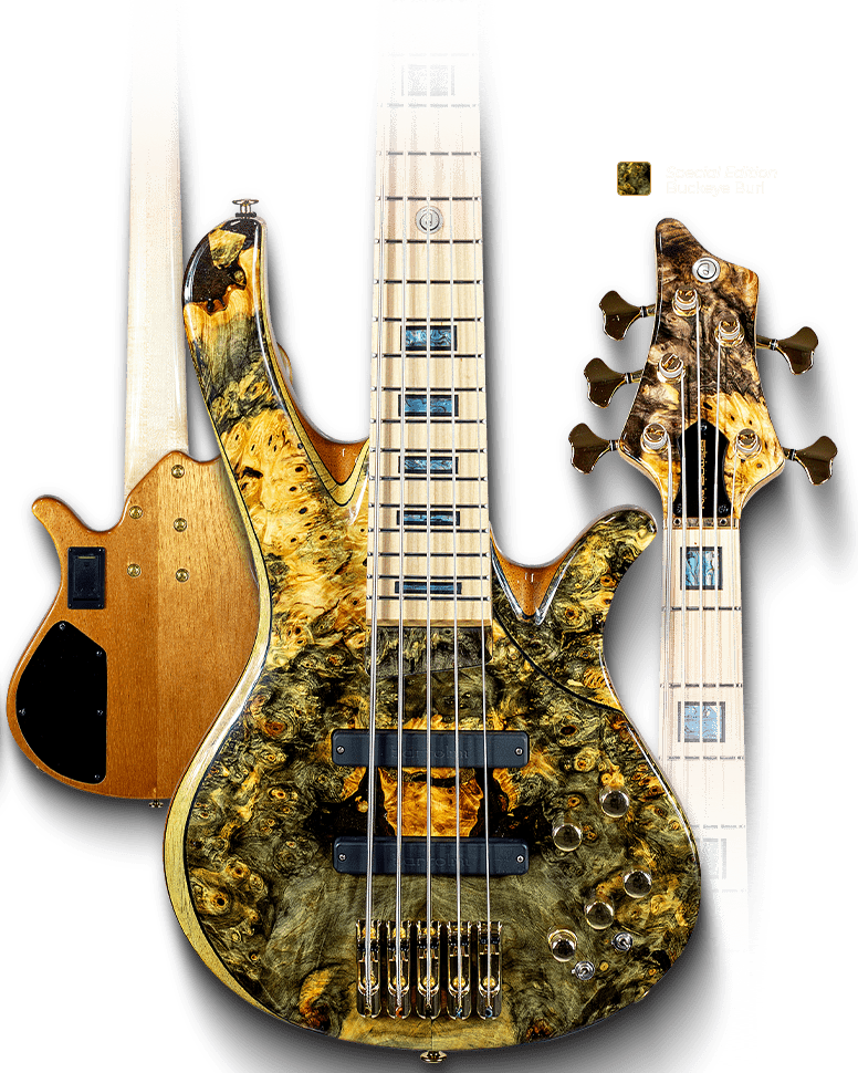 Rainbow KF_Special Edition - Buckeye Burl